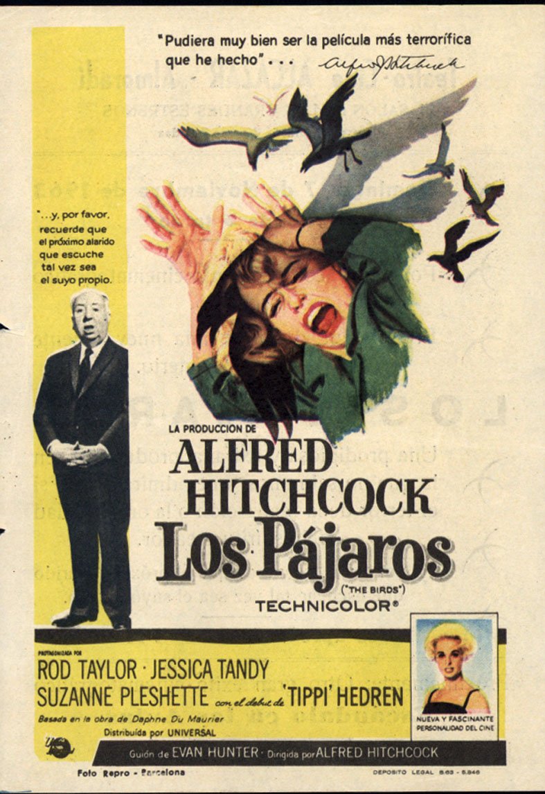 los pajaros