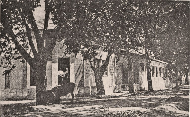 El almacén de abonos CASA SADRIÁN pagina 90
