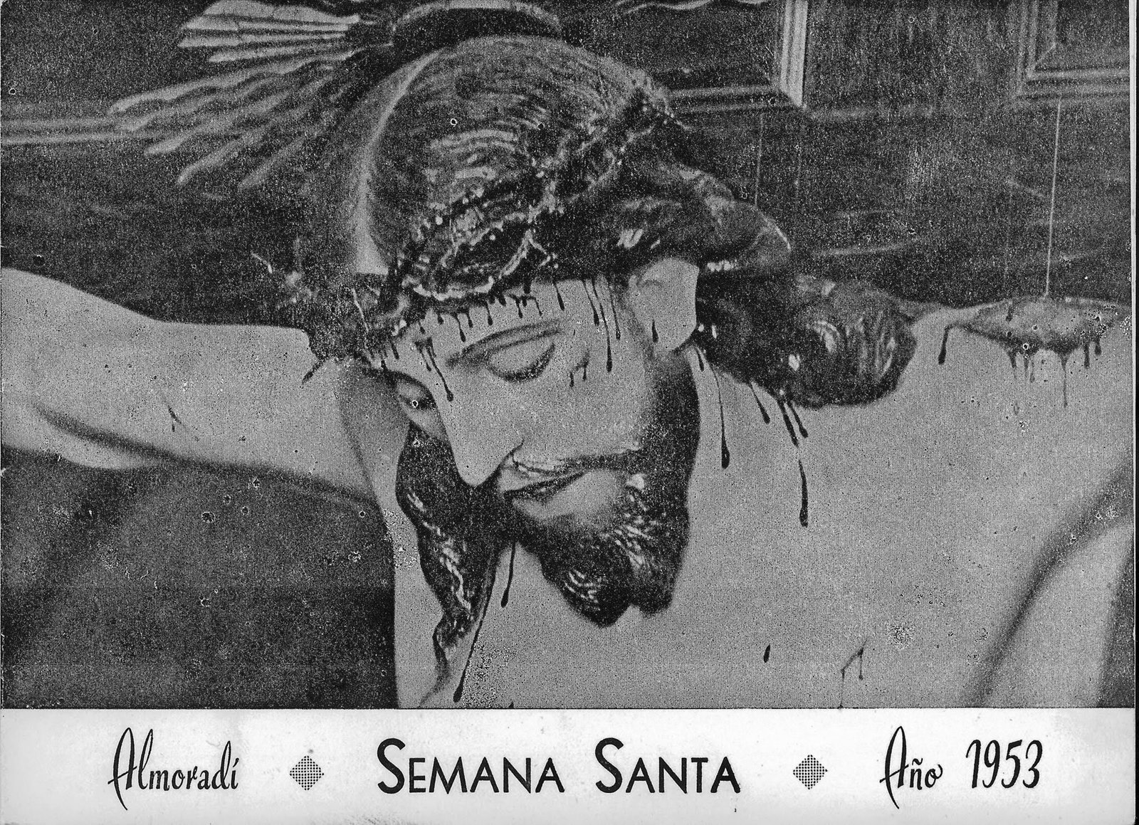 programa 53 1