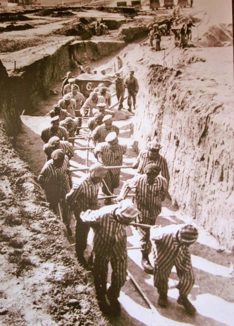 La historia de Miguel Ruíz superviviente de Mathausen almoradidenses en mathausen
