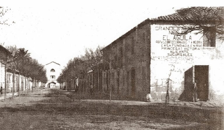 cosme ruiz almoradi