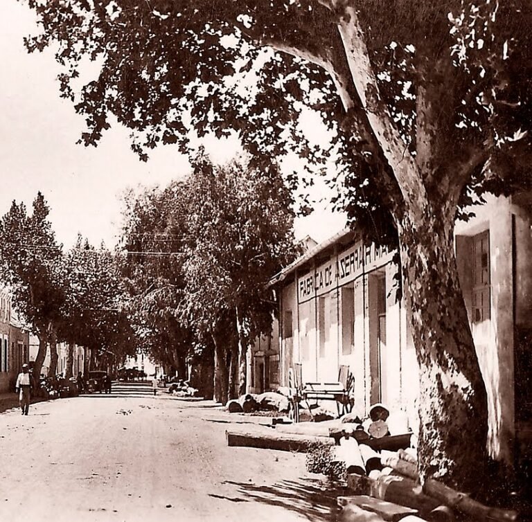 ctra. almoradi dolores 1943ss
