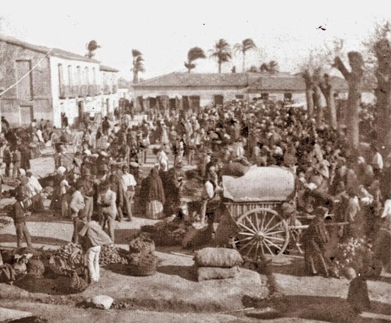 mercado de almoradi
