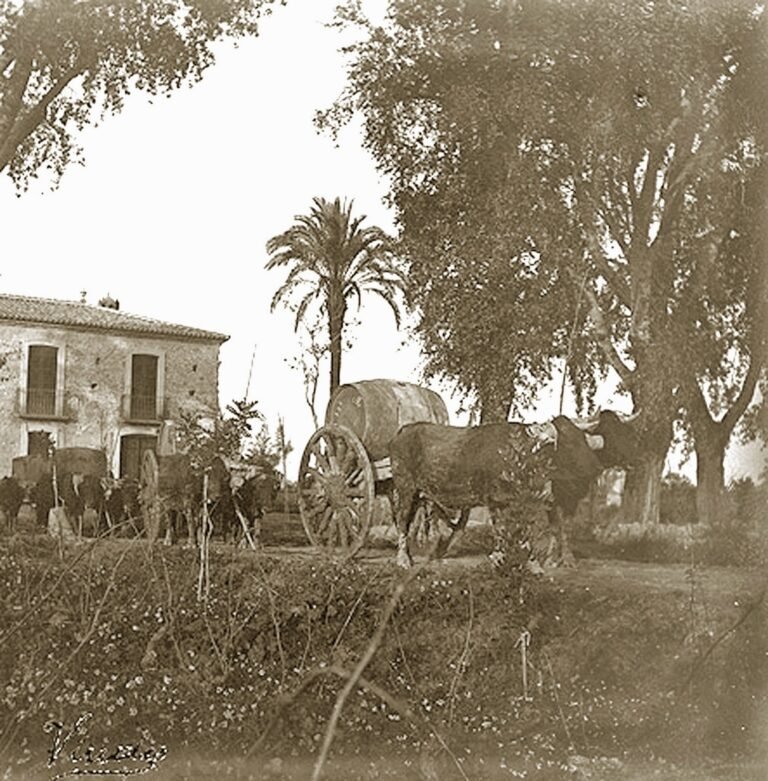 pagina 193