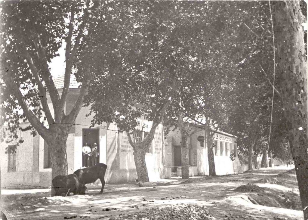 calle canalejas ayer