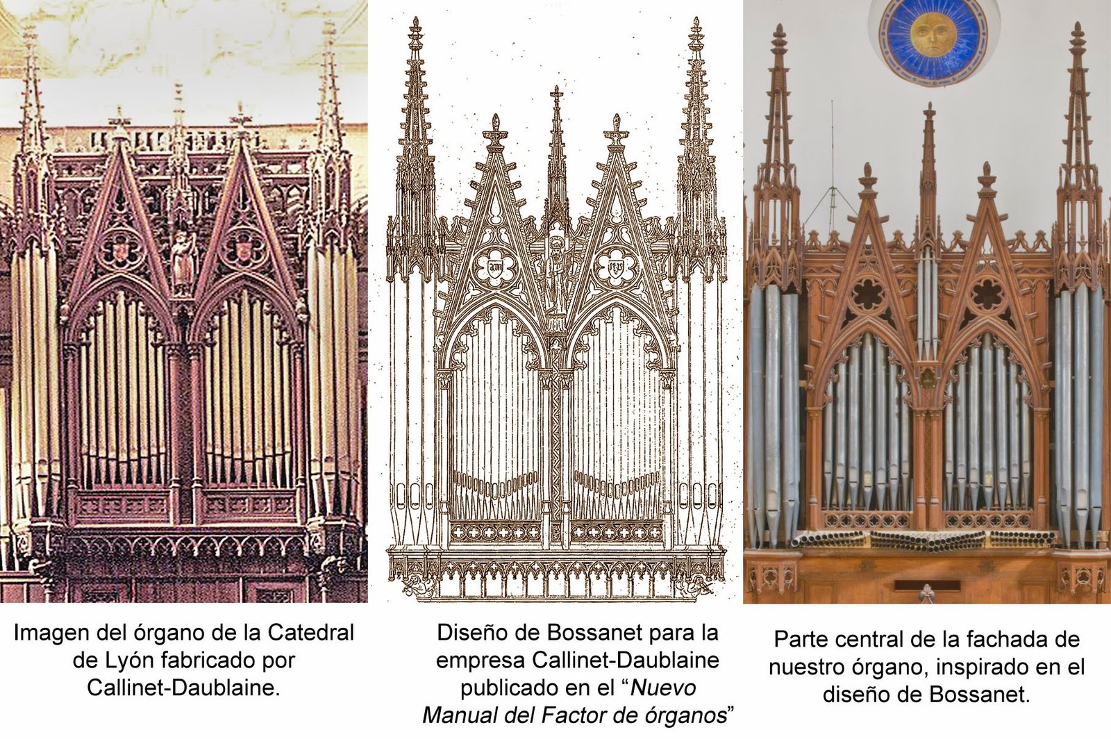 organo de almoradi