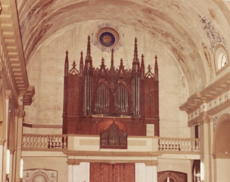 organo iglesia