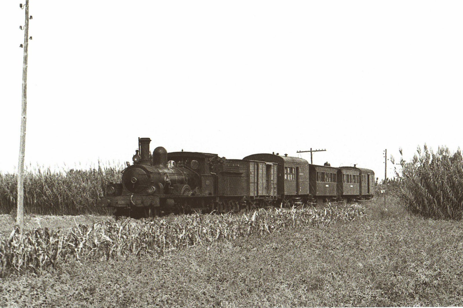ferrocarril almoradi albatera