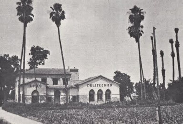 El Liceo liceo almoradi