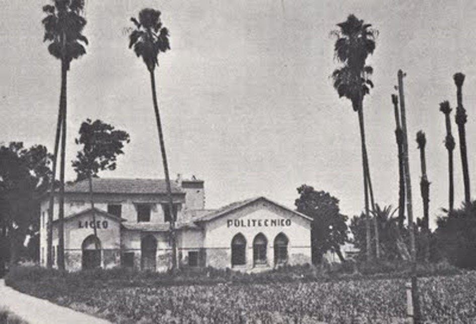 liceo almoradi