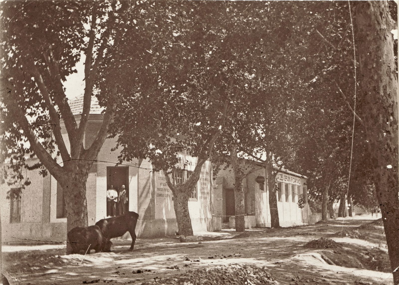 almacen adrian viudes