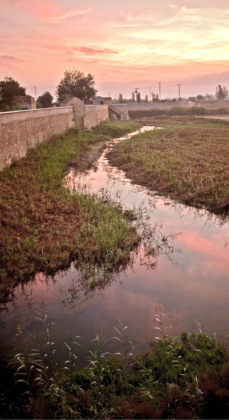 azud de alfeitami de almoradi