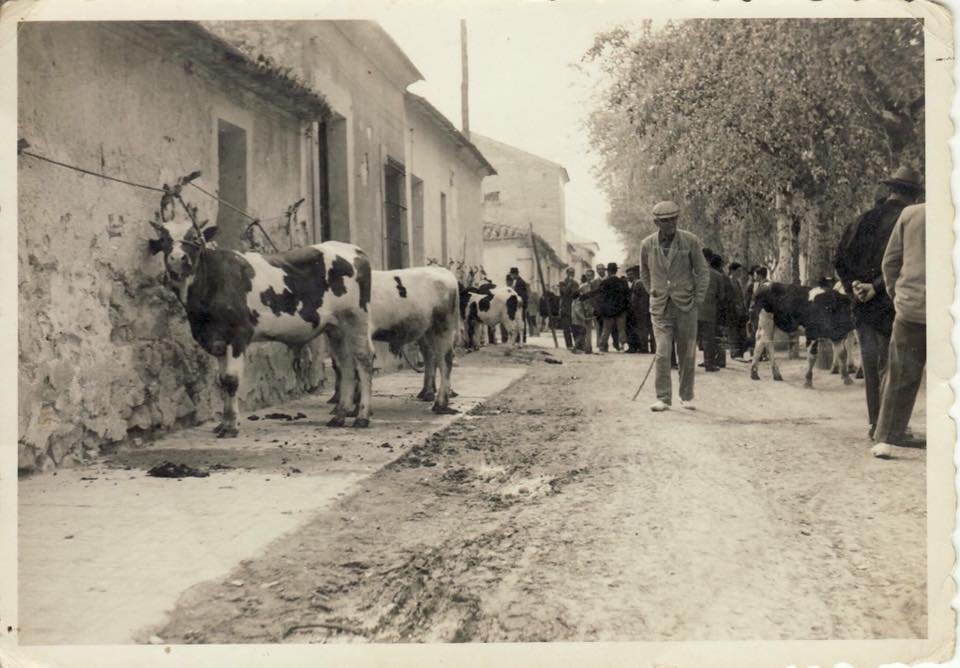 EL MERCADO DE GANADO DE LOS 50