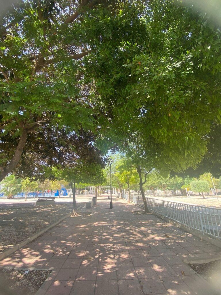 Todos queremos árboles cerca, pero no en la puerta img 1495