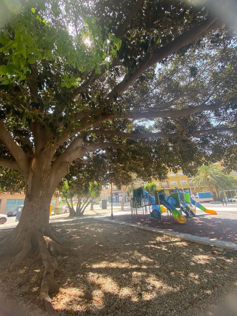Todos queremos árboles cerca, pero no en la puerta img 1497
