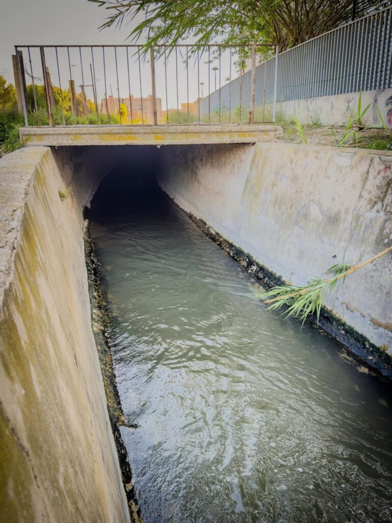El río oculto que discurre bajo las calles de Almoradí img 2652