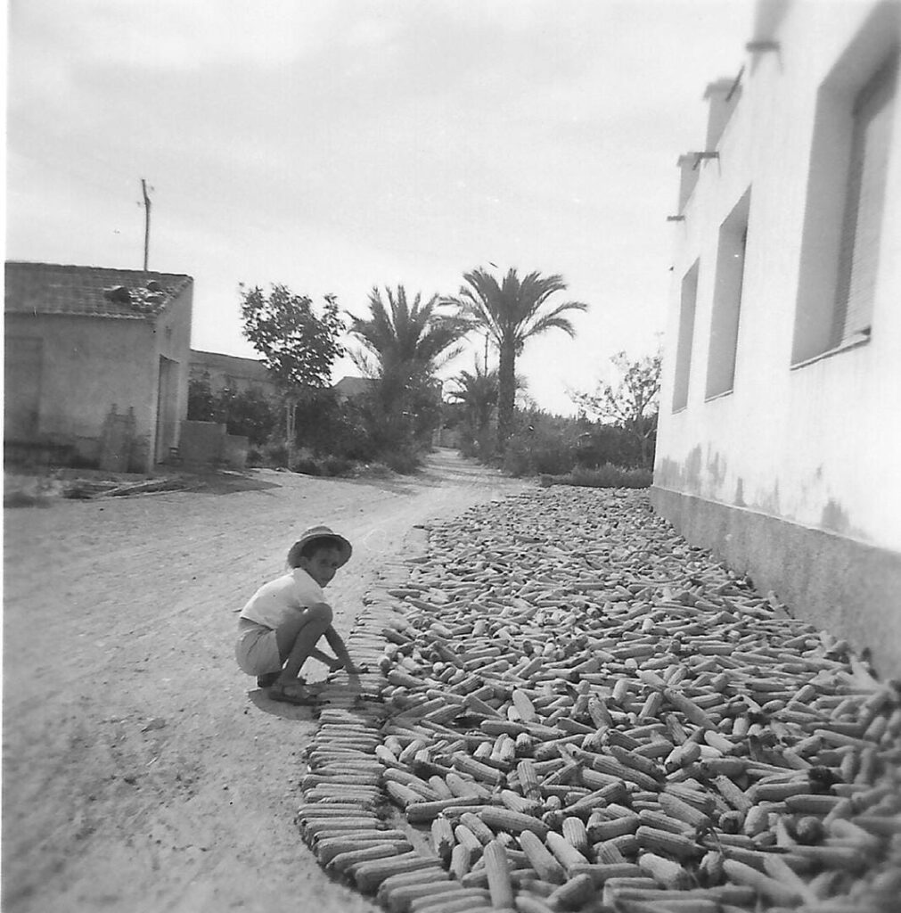 C8a17cfc 15cc 4097 Aded 77368cdd472d 1011x1024